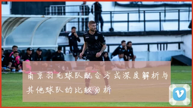 南京羽毛球队配合方式深度解析与其他球队的比较分析