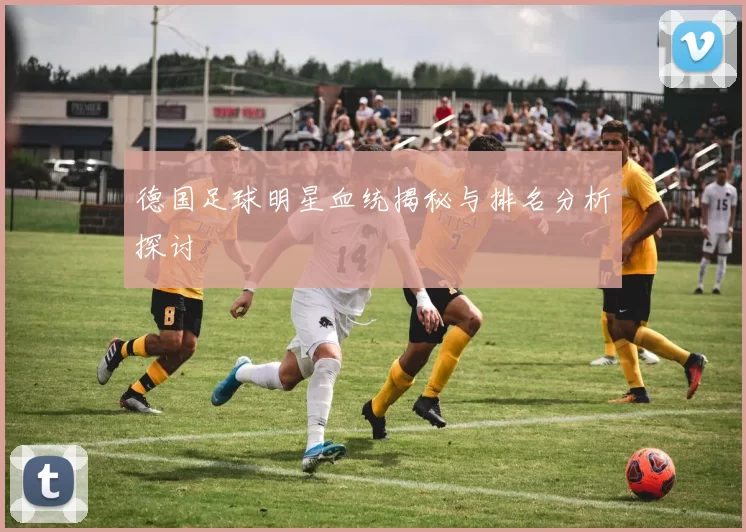 德国足球明星血统揭秘与排名分析探讨
