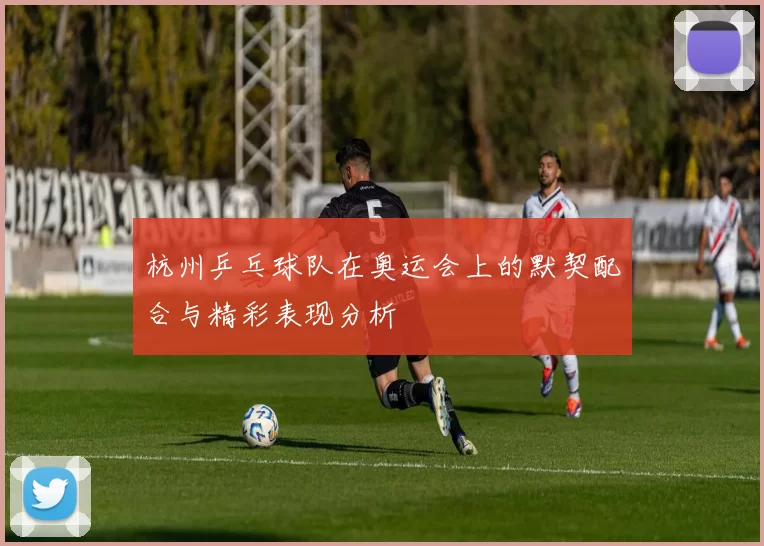 杭州乒乓球队在奥运会上的默契配合与精彩表现分析