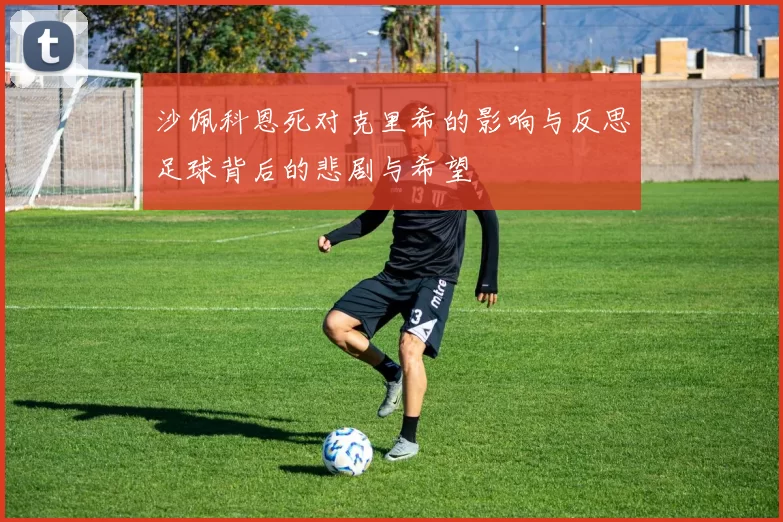 沙佩科恩死对克里希的影响与反思足球背后的悲剧与希望