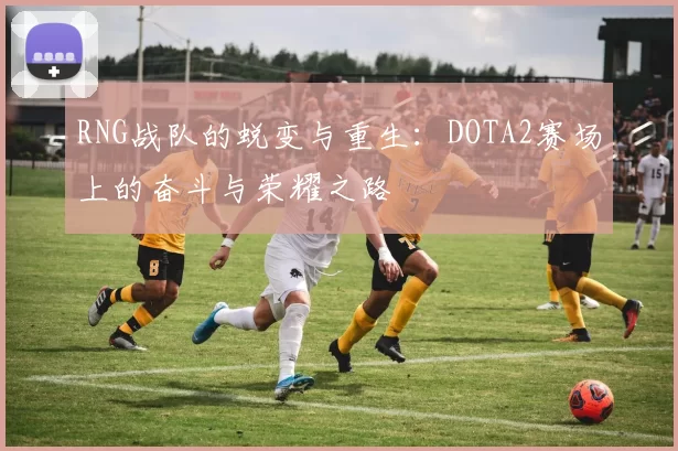 RNG战队的蜕变与重生：DOTA2赛场上的奋斗与荣耀之路