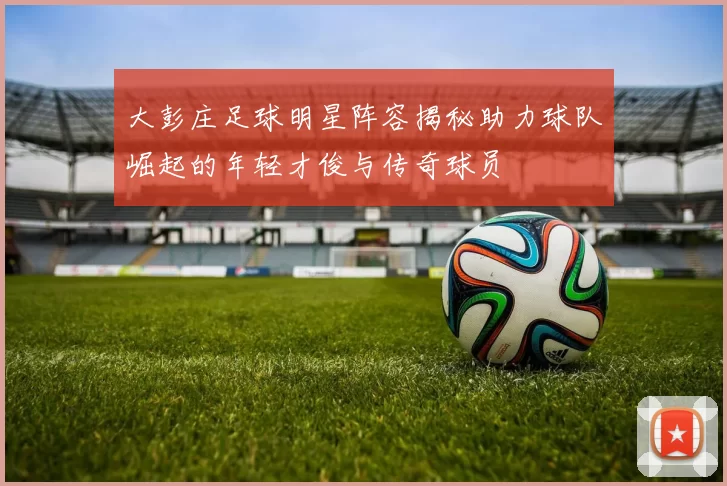 大彭庄足球明星阵容揭秘助力球队崛起的年轻才俊与传奇球员