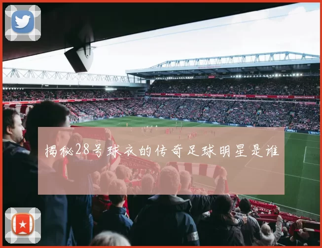 揭秘28号球衣的传奇足球明星是谁