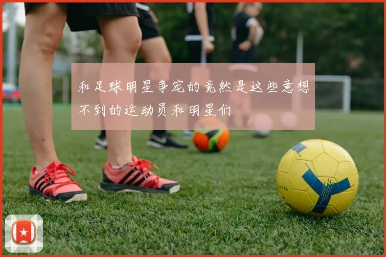 和足球明星争宠的竟然是这些意想不到的运动员和明星们