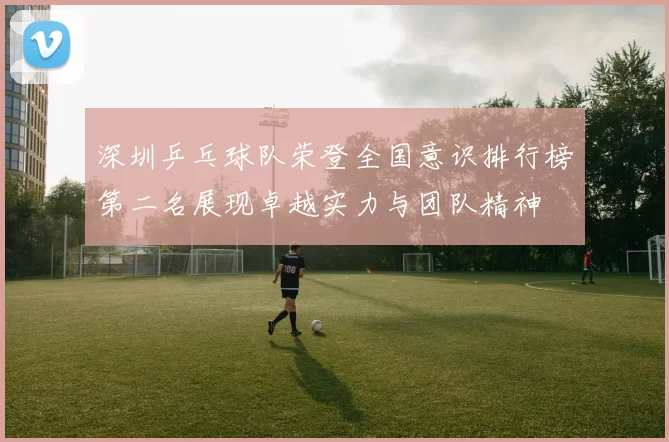 深圳乒乓球队荣登全国意识排行榜第二名展现卓越实力与团队精神