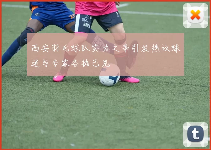西安羽毛球队实力之争引发热议球迷与专家各执己见