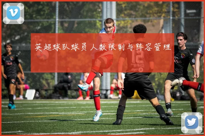 英超球队球员人数限制与阵容管理