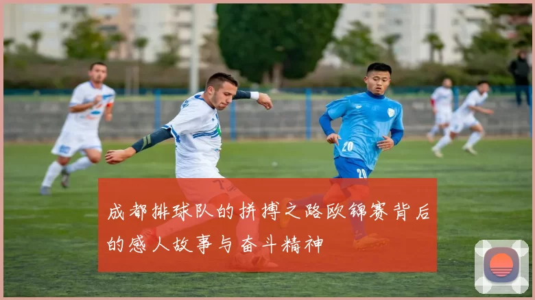 成都排球队的拼搏之路欧锦赛背后的感人故事与奋斗精神