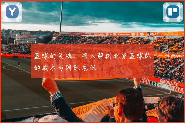 篮球的灵魂：深入解析北京篮球队的战术与团队意识