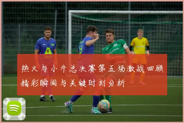 热火与小牛总决赛第五场激战回顾精彩瞬间与关键时刻分析