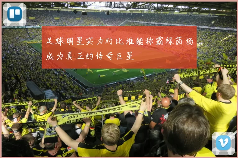 足球明星实力对比谁能称霸绿茵场成为真正的传奇巨星