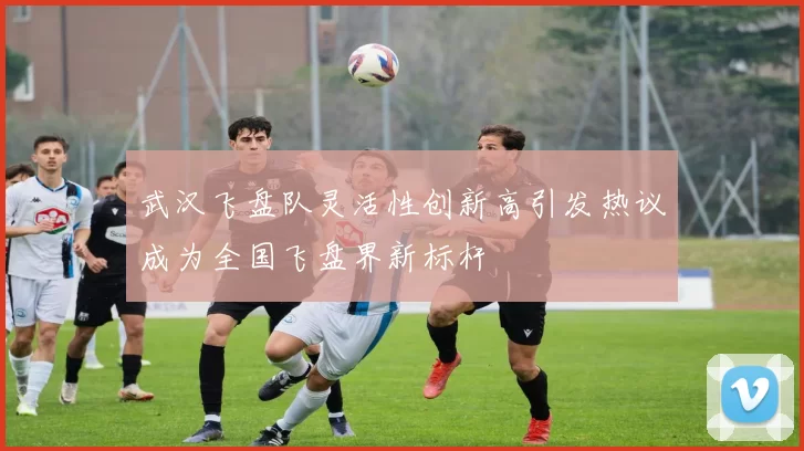 武汉飞盘队灵活性创新高引发热议成为全国飞盘界新标杆