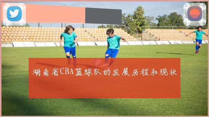 湖南省CBA篮球队的发展历程和现状