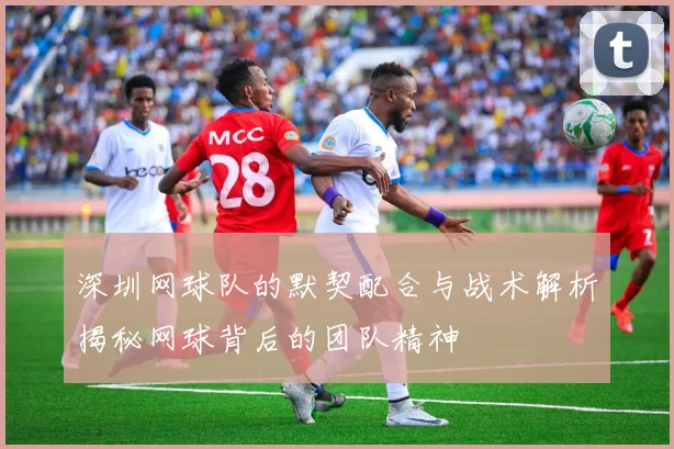 深圳网球队的默契配合与战术解析揭秘网球背后的团队精神