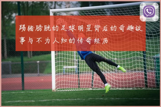 踢猪膀胱的足球明星背后的奇趣故事与不为人知的传奇经历