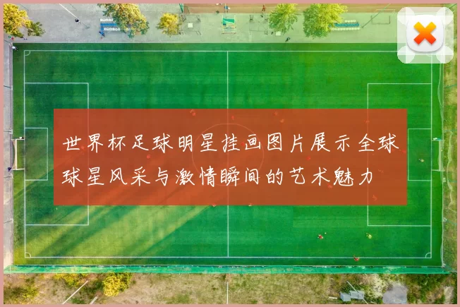 世界杯足球明星挂画图片展示全球球星风采与激情瞬间的艺术魅力