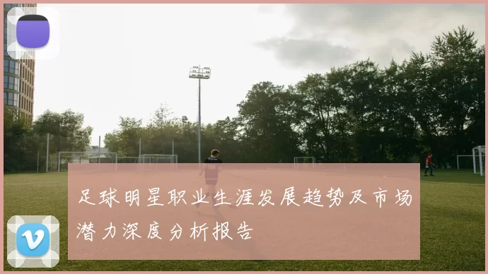 足球明星职业生涯发展趋势及市场潜力深度分析报告