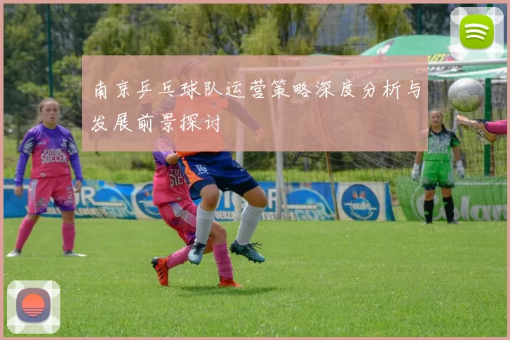 南京乒乓球队运营策略深度分析与发展前景探讨