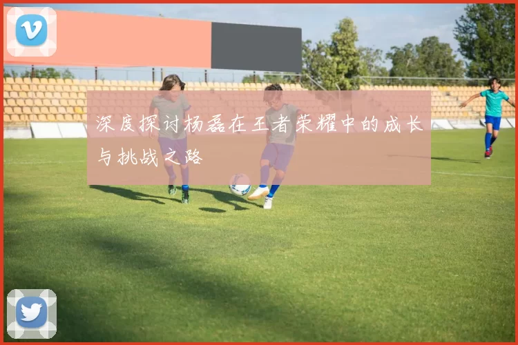 深度探讨杨磊在王者荣耀中的成长与挑战之路