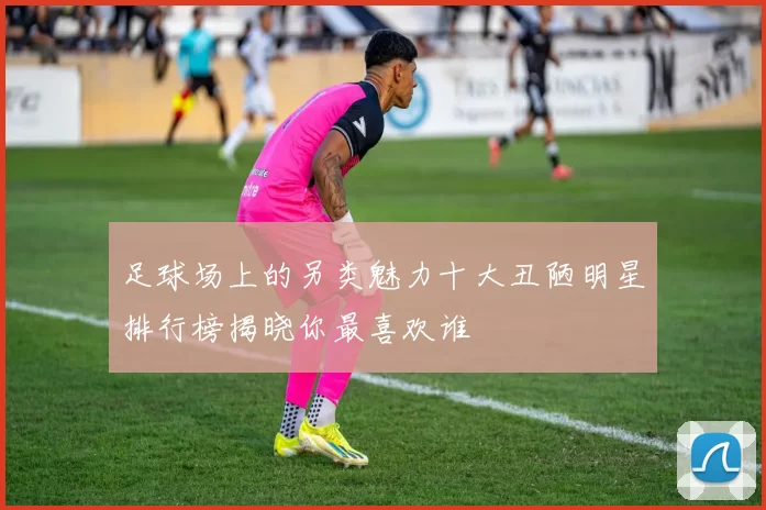 足球场上的另类魅力十大丑陋明星排行榜揭晓你最喜欢谁