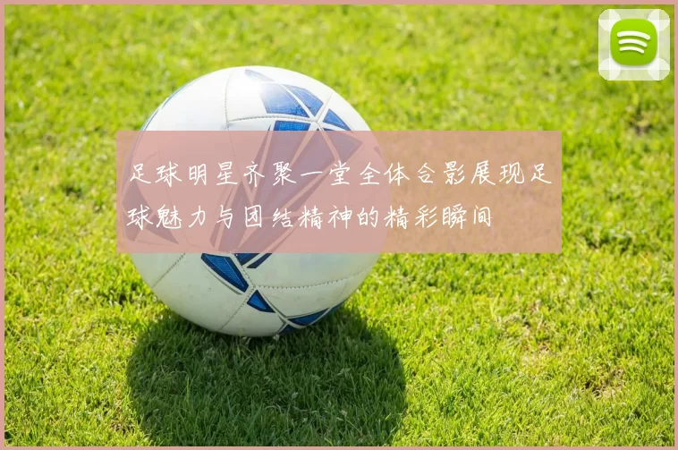 足球明星齐聚一堂全体合影展现足球魅力与团结精神的精彩瞬间