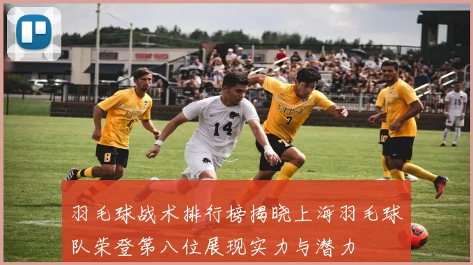 羽毛球战术排行榜揭晓上海羽毛球队荣登第八位展现实力与潜力