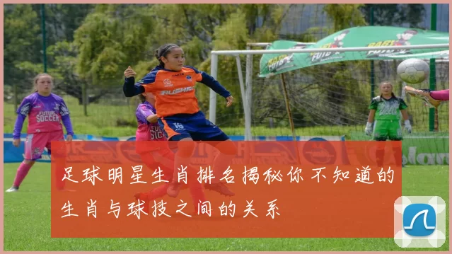 足球明星生肖排名揭秘你不知道的生肖与球技之间的关系