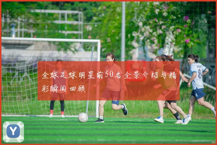 全球足球明星前50名全景介绍与精彩瞬间回顾