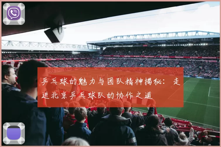乒乓球的魅力与团队精神揭秘：走进北京乒乓球队的协作之道