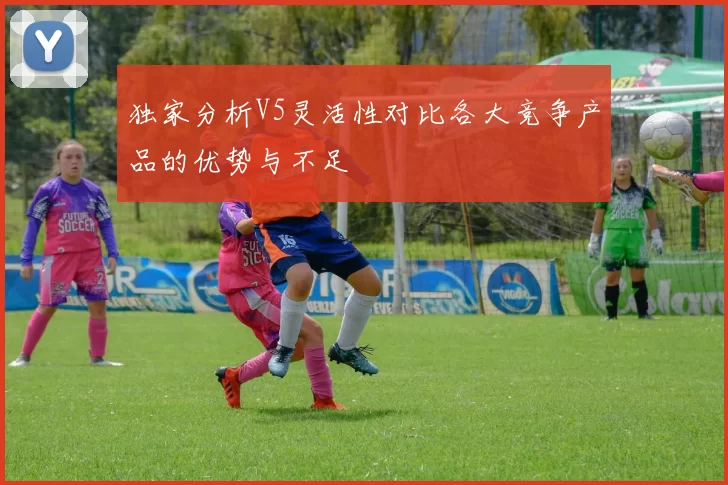 独家分析V5灵活性对比各大竞争产品的优势与不足